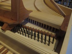 IMG_3379